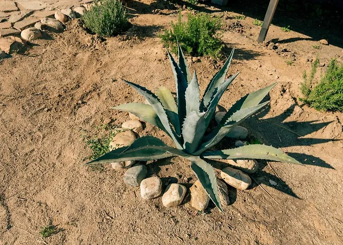 Villas Quijote Valle De Guadalupe