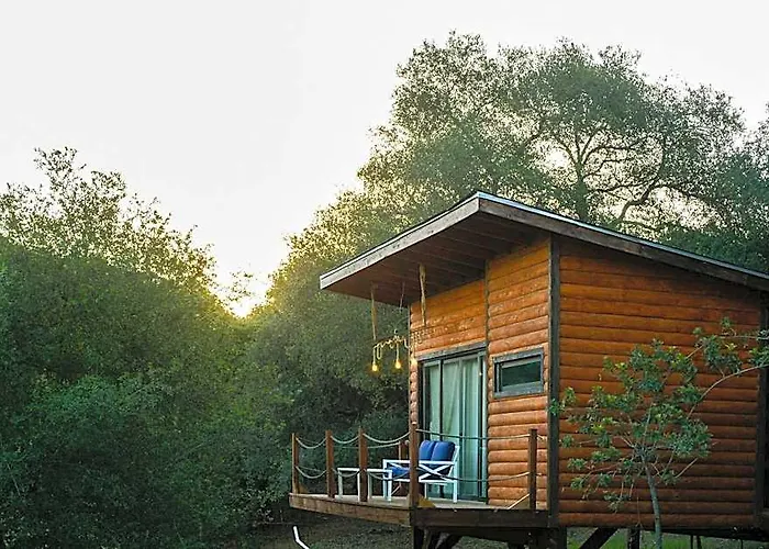 Boskenvid Hotel - Romantic Treehouses & Skypool