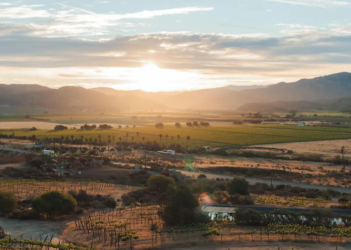 Encuentro Guadalupe